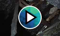 pelicula Tierra negra